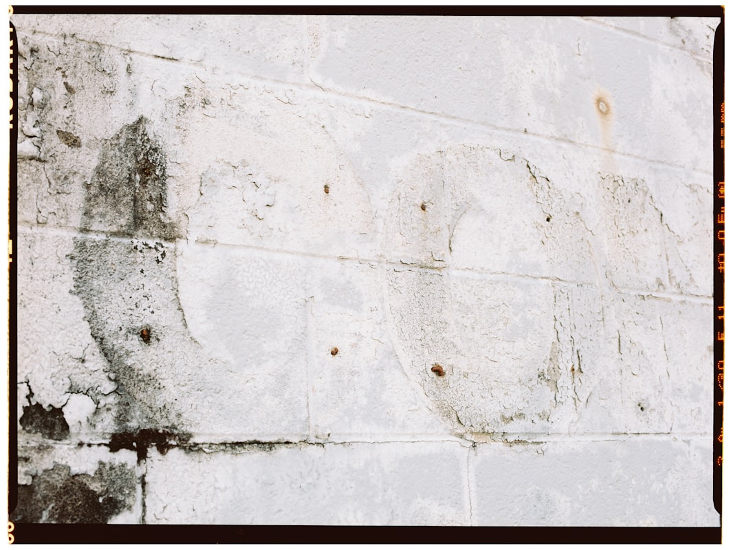 Basement Water Removal service in Charleston, SC