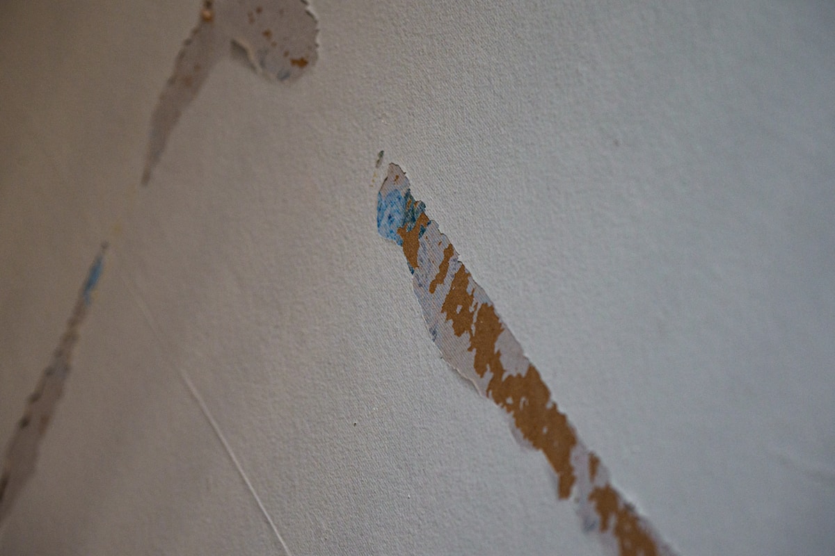 Mold Remediation service in Charleston, SC