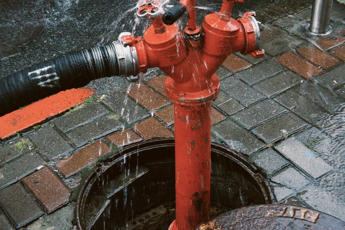 Storm Damage Repair service in Charleston, SC